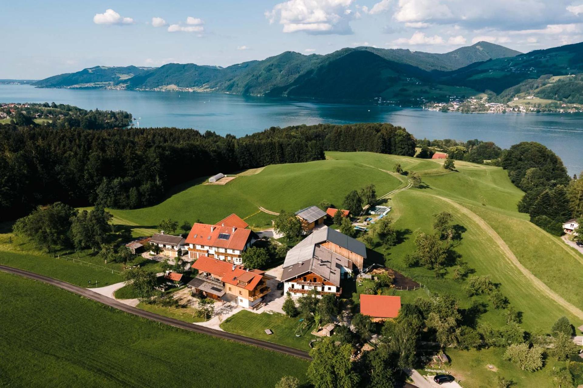 Ferienwohnung Grubinger Unterach am Attersee Eksteriør bilde