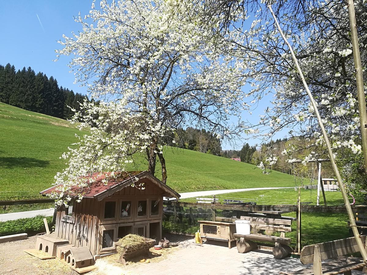 Ferienwohnung Grubinger Unterach am Attersee Eksteriør bilde